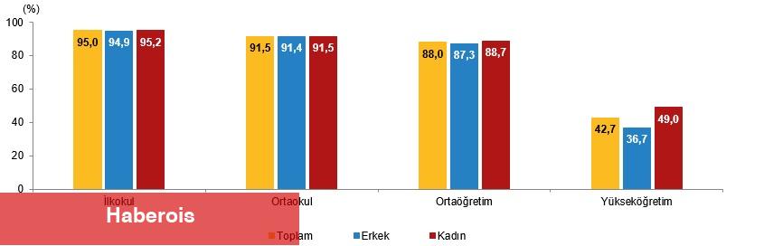 İstatistiklerle Gençlik, 2024 - Haberois İstatistiklerle Gençlik, 2024