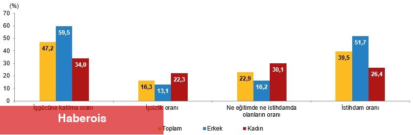 İstatistiklerle Gençlik, 2024 - Haberois İstatistiklerle Gençlik, 2024