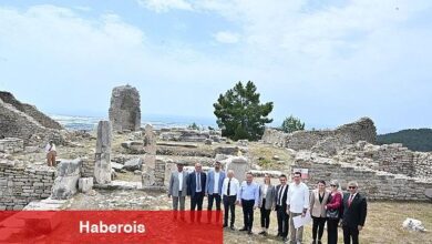 IV. Milletlerarası FoodFest Gastronomi Şenliği domates hasadı ile başladı - Haberois IV. Milletlerarası FoodFest Gastronomi Şenliği domates hasadı ile başladı