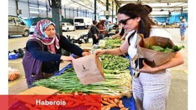 İzmir Büyükşehir Belediyesi 15 yıldır organik tarımla çiftçiyi ayakta tutuyor - Haberois İzmir Büyükşehir Belediyesi 15 yıldır organik tarımla çiftçiyi ayakta tutuyor