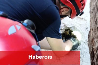 İzmir İtfaiyesi sıkışan kediyi kurtardı! - Haberois İzmir İtfaiyesi sıkışan kediyi kurtardı!