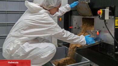 İzmir'de atıklar mamaya, israf uygunluğa dönüşüyor