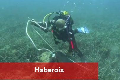 İzmir'de deniz tabanından 1,5 ton ağ çıkarıldı! - Haberois İzmir'de deniz tabanından 1,5 ton ağ çıkarıldı!