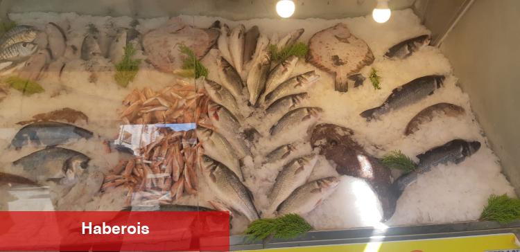 İzmir’de su ürünleri denetimlerinde ceza yağdı