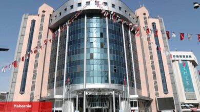 İzmit'ten sahipsiz köpek tezlerine yanıt!