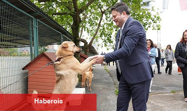 Kadıköy Belediyesi Süreksiz Hayvan Bakımevi Yenilendi - Haberois Kadıköy Belediyesi Süreksiz Hayvan Bakımevi Yenilendi