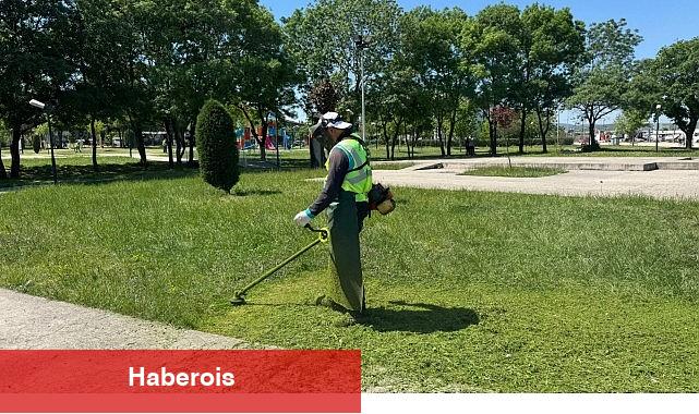 Kartepe'de Yeşil Alanlara Nizamlı Bakım - Haberois Kartepe'de Yeşil Alanlara Nizamlı Bakım