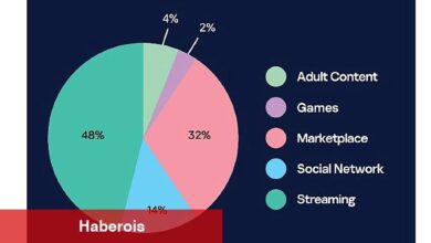 Kaspersky, kurumsal e-postalarla eşleşen sızdırılmış Netflix, Roblox ve Discord hesaplarını ortaya çıkardı - Haberois Kaspersky, kurumsal e-postalarla eşleşen sızdırılmış Netflix, Roblox ve Discord hesaplarını ortaya çıkardı