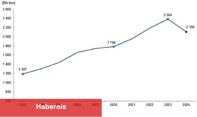 Kırmızı Et Üretim İstatistikleri, 2024 - Haberois Kırmızı Et Üretim İstatistikleri, 2024