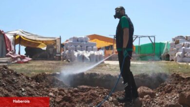 Kocaeli Büyükşehir, kurban pazar yerlerini ilaçlıyor - Haberois Kocaeli Büyükşehir, kurban pazar yerlerini ilaçlıyor