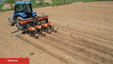 Kocaeli Büyükşehir'in takviyesiyle ekim mesaisi başladı - Haberois Kocaeli Büyükşehir'in takviyesiyle ekim mesaisi başladı