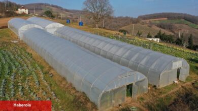 Kocaeli'den yüzde 50 hibeli sera dayanağı - Haberois Kocaeli'den yüzde 50 hibeli sera dayanağı