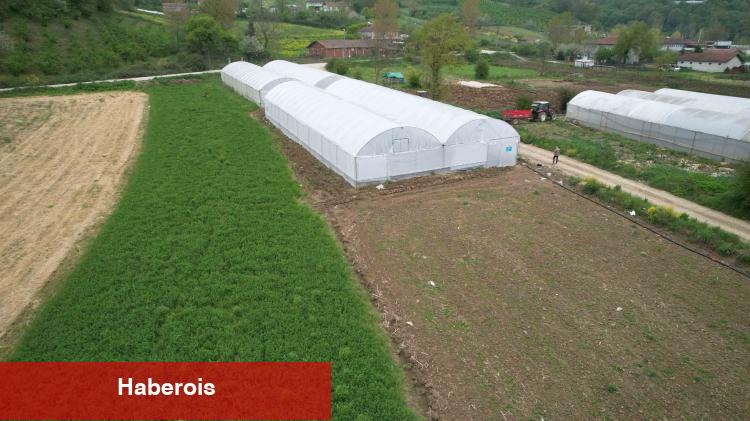 Kocaeli’nde üreticilere yüzde 50 hibeli çağdaş sera takviyesi