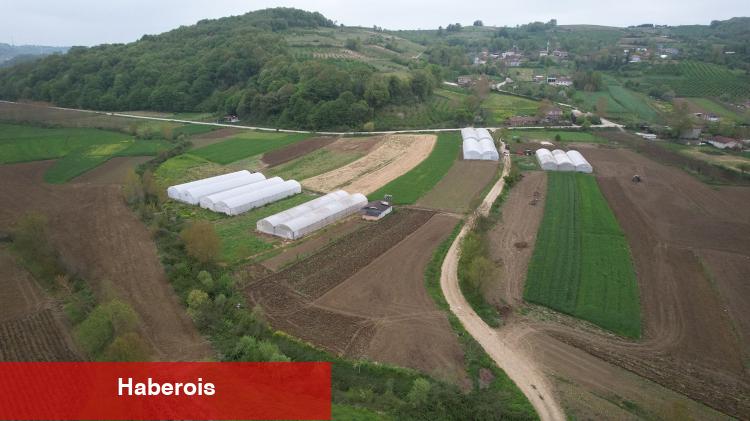 Kocaeli’nde üreticilere yüzde 50 hibeli çağdaş sera takviyesi