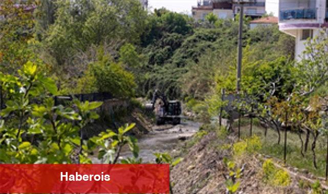 Körfezle buluşan derelerde paklık harekâtı