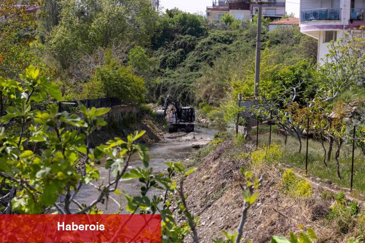 Körfezle buluşan derelerde paklık seferberliği