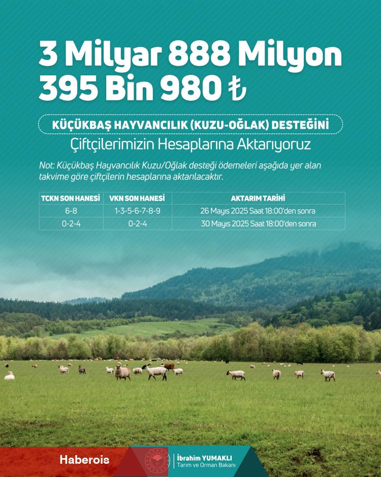Küçükbaş hayvancılığa 3,8 milyar TL takviye hesaplarda