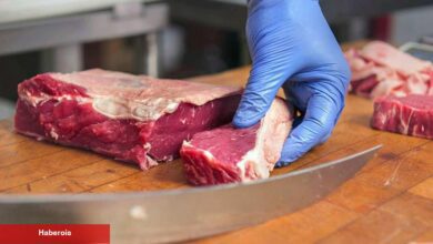 Kurban için kesme tahtası önerileri! 2025 en yeterli kesme tahtası modelleri ve fiyatları - Haberois Kurban için kesme tahtası önerileri! 2025 en yeterli kesme tahtası modelleri ve fiyatları