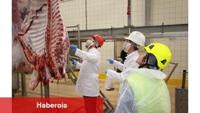 Kurban kesim müracaatları 15 Mayıs'ta başlıyor