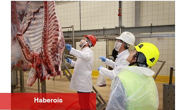 Kurban kesim müracaatları 15 Mayıs'ta başlıyor - Haberois Kurban kesim müracaatları 15 Mayıs'ta başlıyor
