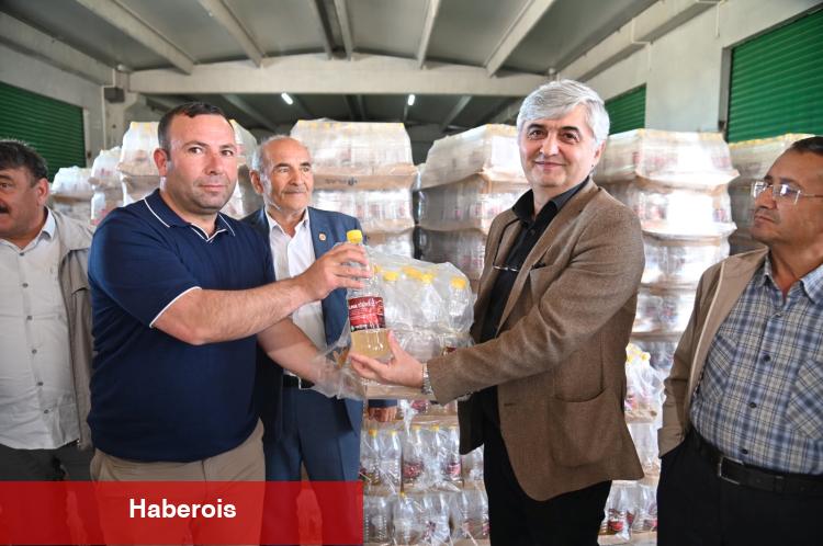 Manisa'da sirke sineğine karşı biyoteknik tuzak - Haberois Manisa'da sirke sineğine karşı biyoteknik tuzak
