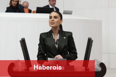 Milletvekili Özcan'dan sokak hayvanları için Bakan Yumaklı’ya önerge