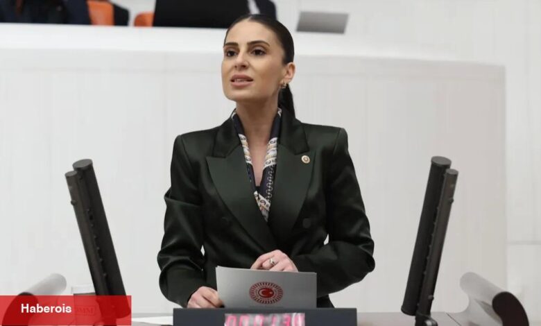 Milletvekili Özcan'dan sokak hayvanları için Bakan Yumaklı’ya önerge