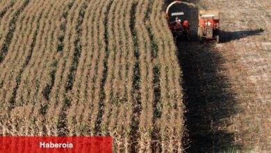 Mısır güç ezasını çözmek için 40-60 LNG kargosu satın almak için görüşmelerde bulunuyor