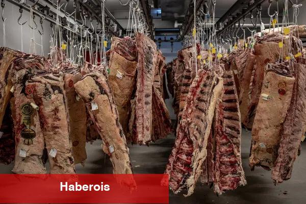 Neden Amerika'nın 'Güzel Sığır Et' Avrupa için bir Ticaret Savaşı Ağır Noktası - Haberois Neden Amerika'nın 'Güzel Sığır Et' Avrupa için bir Ticaret Savaşı Ağır Noktası