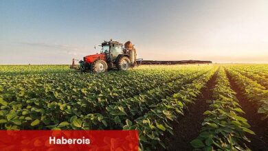 Nisan ayında EİB'den 1 milyar 468 milyon dolarlık ihracat - Haberois Nisan ayında EİB'den 1 milyar 468 milyon dolarlık ihracat