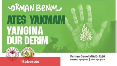 OGM'den kritik ikaz: Sıcaklık Artışı Orman Yangınlarını Tetikleyebilir