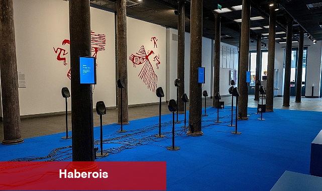 Okullar için Stant Çeşitleri: Hayvanların Ömrü