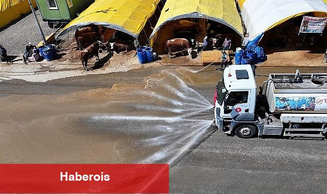 Pak ve inançlı kurban pazarı Keçiören'de - Haberois Pak ve inançlı kurban pazarı Keçiören'de