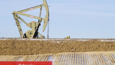 Petrol fiyatları 4 yıllık düşüşten toparlanıyor; ABD kaya petrolü üretiminin doruğa ulaştığı görülüyor