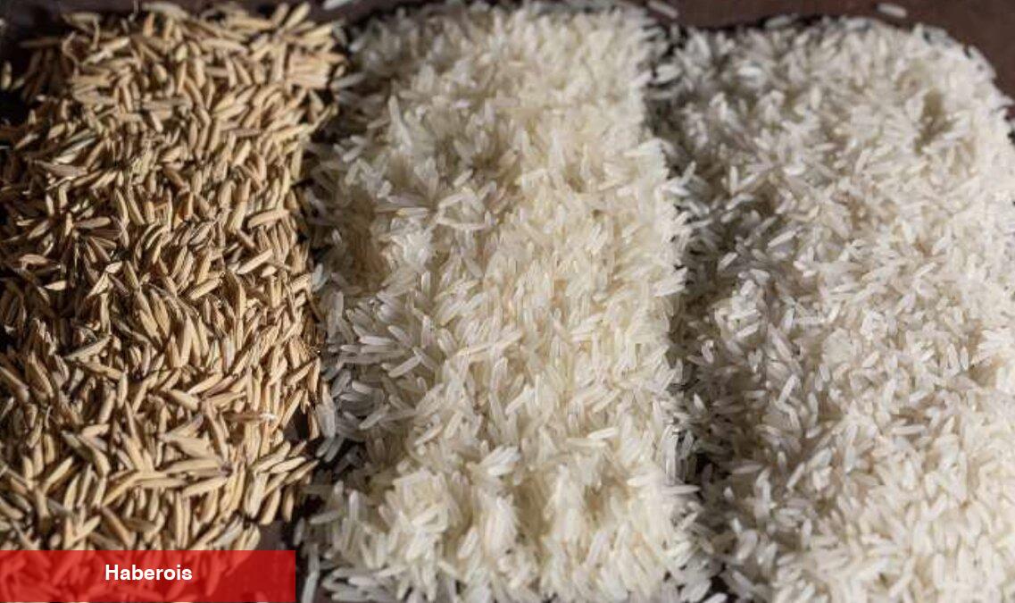 Pişerken dağılmaz, tok tutar: Amberbu pirinci - Haberois Pişerken dağılmaz, tok tutar: Amberbu pirinci