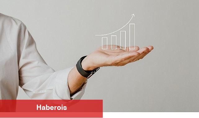 Piyasada İstikamet Arayan Yatırımcıya Rehber Niteliğinde Portföy Dağılım Tavsiyesi