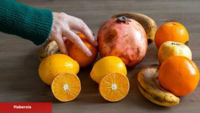 Sağlıklı uzun ömür için bilimsel tahliller