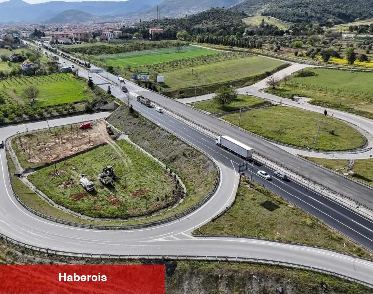 Sakarya sökülen her ağaç öteki alanda yaşatılıyor