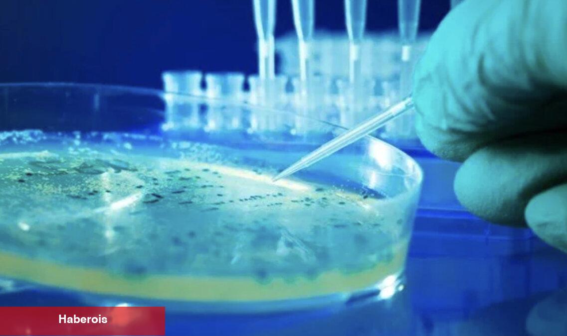 Salmonella'dan korunmanın 5 yolu - Haberois Salmonella'dan korunmanın 5 yolu