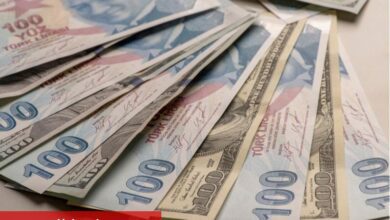 SEB açıkladı: "Dolar/TL, 2026’nın birinci yarısında 50’yi görebilir" - Haberois SEB açıkladı: "Dolar/TL, 2026’nın birinci yarısında 50’yi görebilir"
