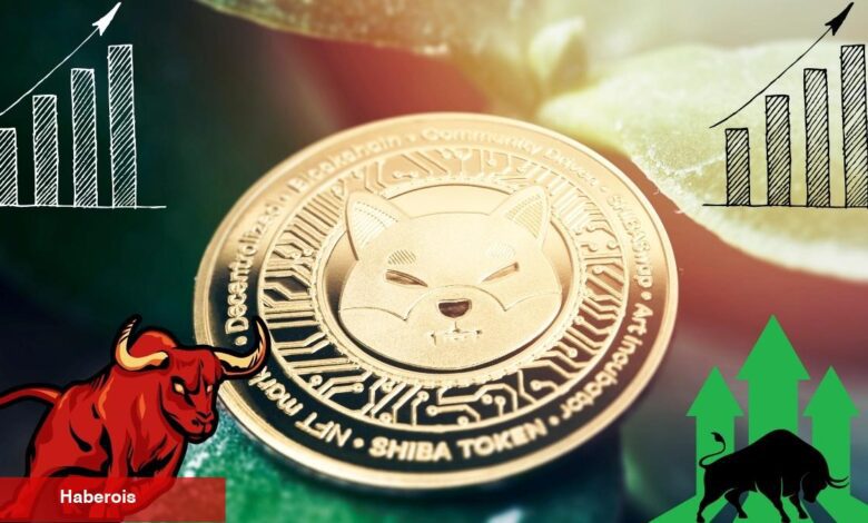 Shiba Coin’de Boğa Bayrağı Sinyalleri Oluşuyor! - Haberois Shiba Coin’de Boğa Bayrağı Sinyalleri Oluşuyor!