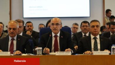 Şimşek: Programı kararlı bir formda uygulamaya devam edeceğiz