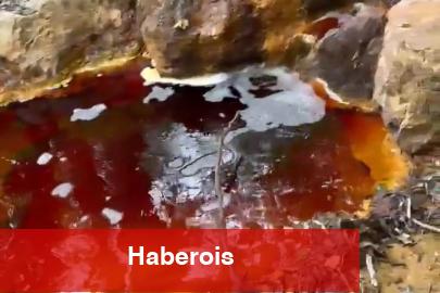 Sivas'ta yeni etraf felaketi! Dere kırmızıya boyandı! - Haberois Sivas'ta yeni etraf felaketi! Dere kırmızıya boyandı!