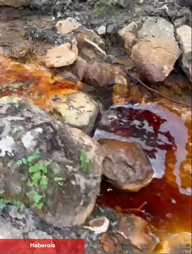 Sivas'ta yeni etraf felaketi! Dere kırmızıya boyandı! - Haberois Sivas'ta yeni etraf felaketi! Dere kırmızıya boyandı!