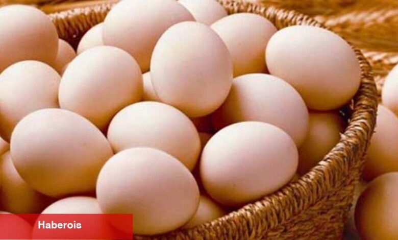Sofralık yumurta ihracatına muafiyet düzenlemesi - Haberois Sofralık yumurta ihracatına muafiyet düzenlemesi