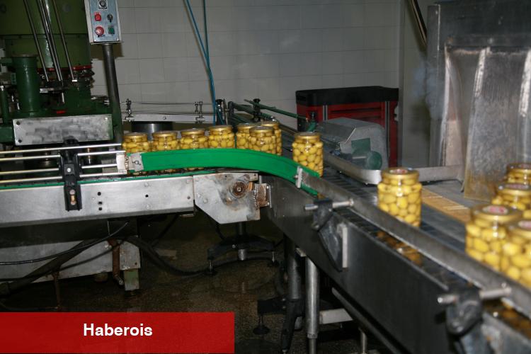 Sofralık zeytin ihracat rekoru kırıyor... Hedef 250 milyon dolar