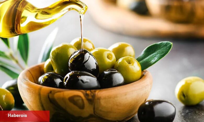 Sofralık zeytin ihracat rekoru kırıyor... Hedef 250 milyon dolar - Haberois Sofralık zeytin ihracat rekoru kırıyor... Hedef 250 milyon dolar