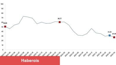 Tarım Eserleri Üretici Fiyat Endeksi, Nisan 2025