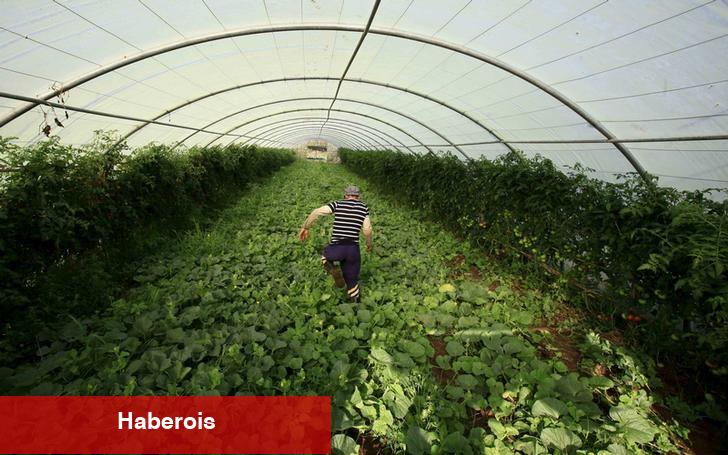 Tarla alarm veriyor: Türkiye’nin meyve üretiminde sert düşüş bekleniyor - Haberois Tarla alarm veriyor: Türkiye’nin meyve üretiminde sert düşüş bekleniyor