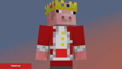 Technoblade'in YouTube Kanalı Değerli Bir Kilometre Taşını Geride Bıraktı